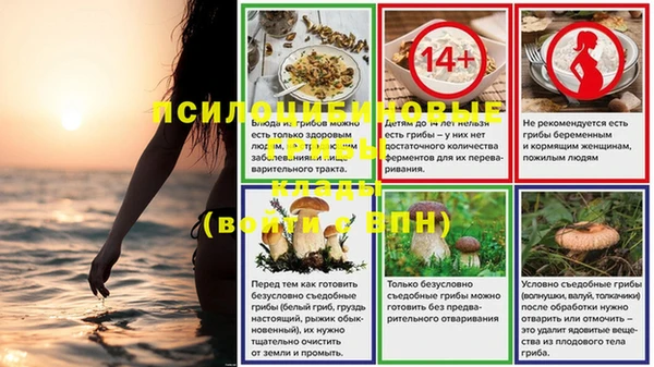 кокаин Белокуриха