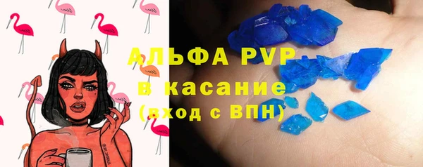 прущие грибы Беломорск