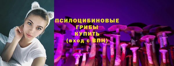 прущие грибы Беломорск