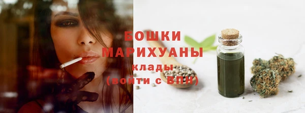 прущие грибы Беломорск