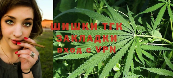 прущие грибы Беломорск