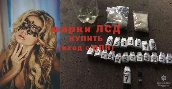 прущие грибы Беломорск